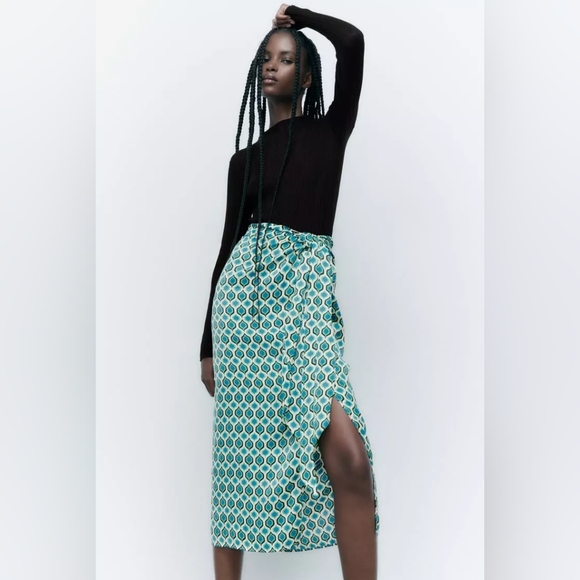 Zara Skirt - Picture 2 of 12
